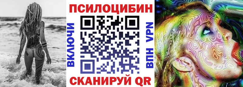 Псилоцибиновые грибы Cubensis  где найти   Новокузнецк 
